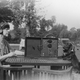 Image for article titled Strange Historic Photos Of Intelligent Animals